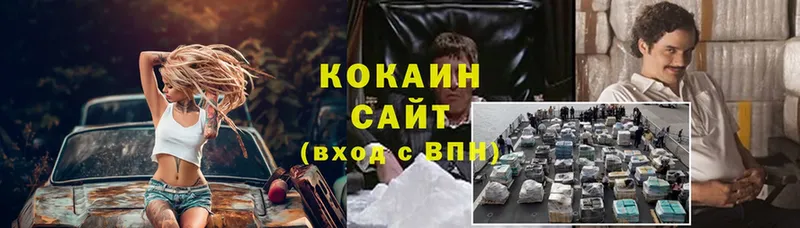 дарнет шоп  Нолинск  Cocaine Fish Scale 